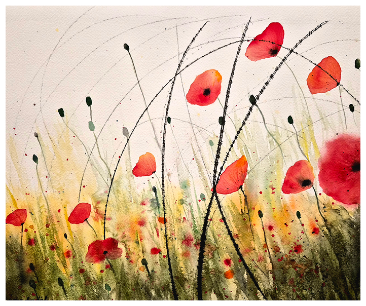 Poppies in Palestine, a series, by Monah Kadah